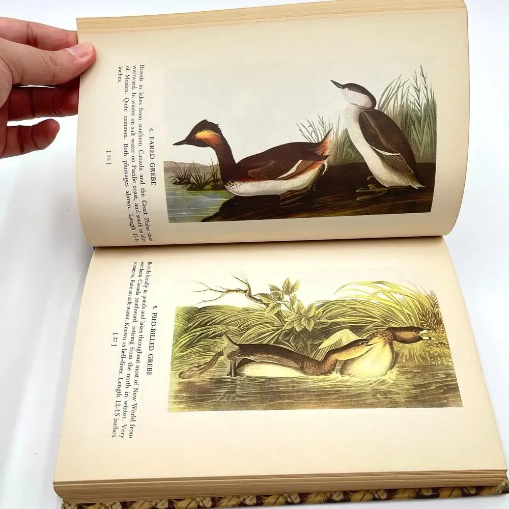 Audubons Birds Of America 1950 Book Stated First Printing Popular Edition HC DJ